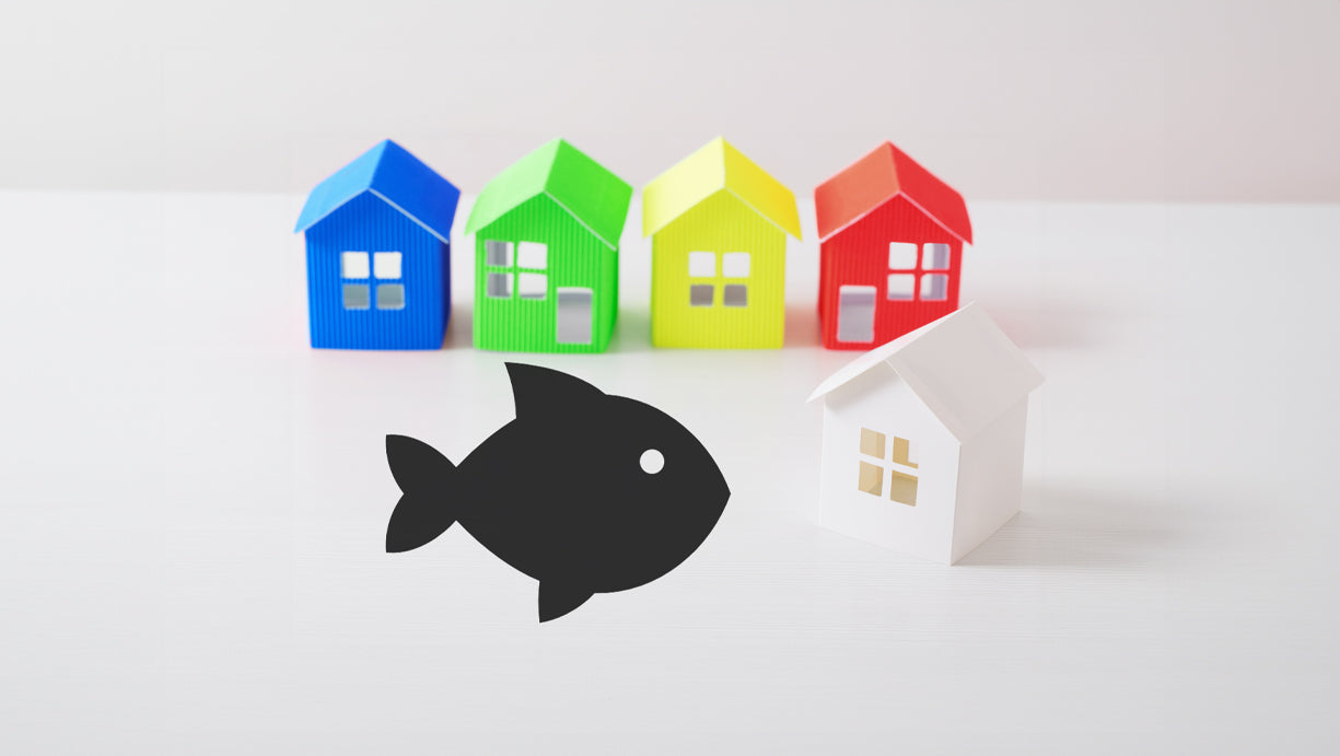 El acertijo de Albert Einstein: solo el 2% de la población podrá resolverlo, ¿estarás tú entre ellos?