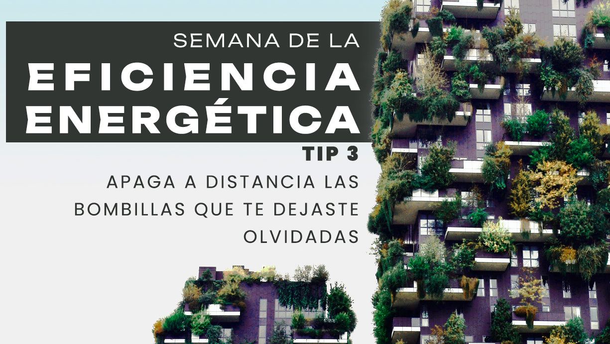 Usa bombillas inteligentes, comprueba desde la app si has dejado la luz de casa encendida por descuido y ¡apágala!