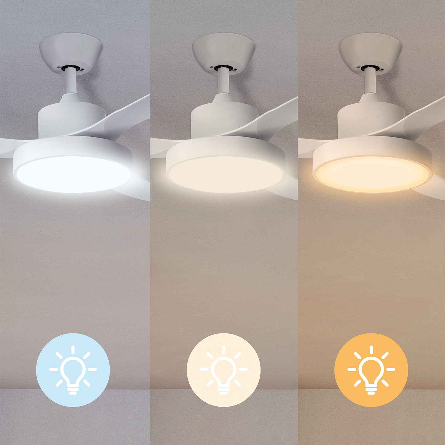 SPC CONFORTO DC MAX 2